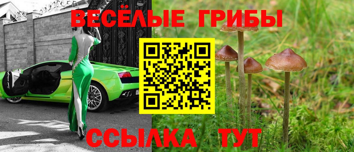 Псилоцибиновые грибы прущие грибы Реж