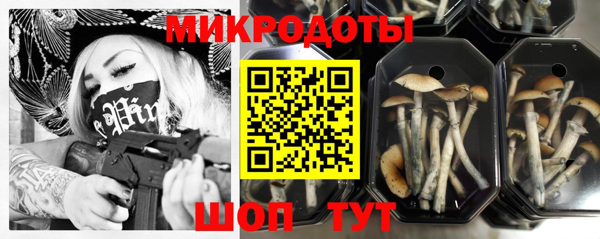 Реж  Галлюциногенные грибы Magic Shrooms  купить наркотики цена  Вход с VPN 